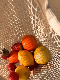 some fruit is sitting in a net bag