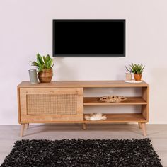 an entertainment center with plants and a flat screen tv