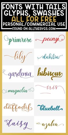 the different font styles and colors for each type of handwritten calligraphy, which are also