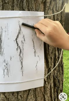 someone is drawing on a piece of paper attached to a tree with a black marker