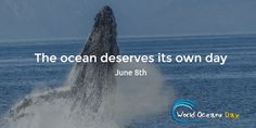 a humpback whale jumping out of the water with a caption that reads, the ocean deserves its own day