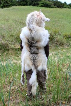 a person standing in the grass with their back turned to the camera, holding an animal