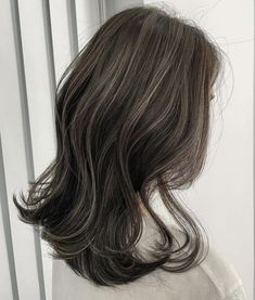 Brunette Hair Hazel Eyes Pale Skin, Highlight Inspo For Dark Hair, Black Hair With Brown Highlights Asian, Textured Layers Haircut, Blond Ends On Black Hair, Light Highlights For Black Hair, Dark Brown With Cool Tone Highlights, Asian Highlights Hair Ash Brown