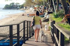 a woman is walking her dog down the stairs to the beach with boats in the water