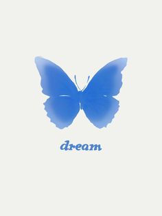 a blue butterfly with the words dream on it