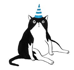 a black and white cat with a party hat on it's head sitting down