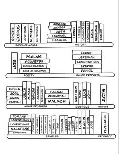 a diagram of the library with several books on each shelf and two rows of books below