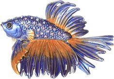 a blue and orange fish is shown against a white background