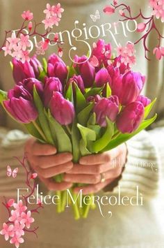 a woman holding a bouquet of pink tulips with the words congratulations on it