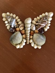 several seashells and shells are arranged on a wooden surface, including one shell