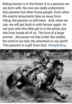 a person riding on the back of a horse