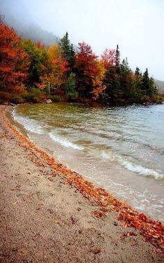 an image of a welcome fall sign on the beach