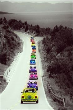 a long line of cars parked on the side of a road with trees in the background