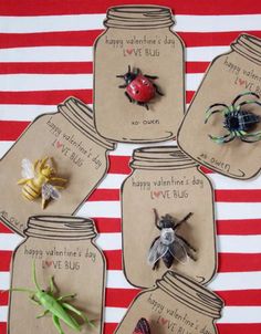 four mason jars filled with bugs on top of a red and white striped table cloth