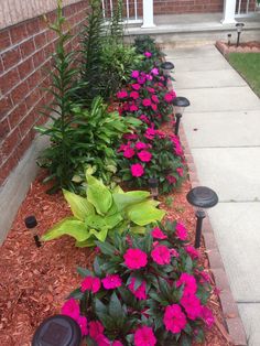 some pink flowers and green plants in front of a brick building