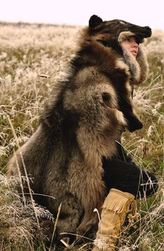 a large furry dog sitting on top of a grass covered field