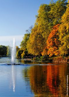 a pond surrounded by lots of trees with a fountain in the middle and water spouting from it