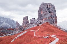 a path leading to the top of a mountain with red grass and rocks in the foreground