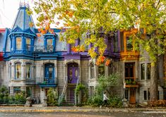 a row of multi - colored houses on a city street with trees in the foreground