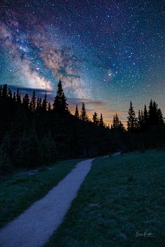 the night sky is filled with stars above trees and a path leading up to it