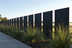 a long black fence is next to some tall grass and plants on the side of it