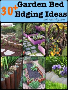 garden bed edging ideas with pictures of various plants and flowers in the middle, including an