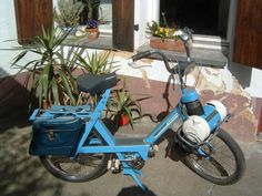 a blue bicycle parked in front of a building with potted plants next to it