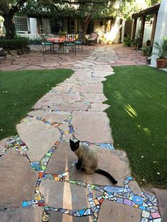 a cat sitting on top of a stone walkway