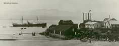 an old black and white photo of a town by the water