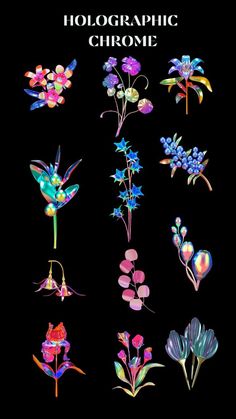 a bunch of different flowers that are on a black background with the words holographic chrome