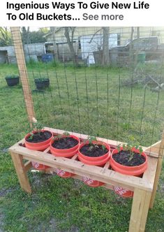 an outdoor garden with potted plants on it and the words ingenious ways to give new life to old buckets see more