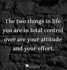 the two things in life you are in total control over are your attitude and your effort