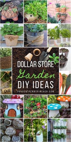 dollar store garden diy ideas collage with text overlay that reads dollar store garden diy ideas