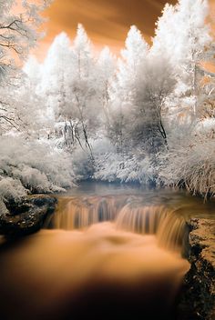 an infrared image of a waterfall in the woods