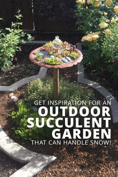 an outdoor succulent garden with flowers and plants in the background, text reads get inspired for an outdoor succulent garden that can handle snow