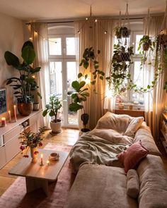 a living room filled with furniture and lots of plants on the windows sills