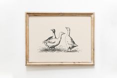 two birds are standing in front of a white wall with a framed drawing on it