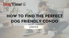 How to Find the Perfect Dog Friendly Condo New Condo, By Your Side, Pet Parent, Dog Friendly, How To Find, Dog Owners, Dog Friends