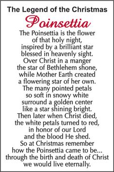 the legend of the christmas poinsettia poem in black and white with red lettering