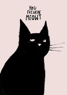 a black cat with the words you freakin'meowt written on it