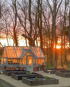 the sun is setting behind some trees and plants in front of a building with greenhouses