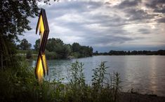 the lights are glowing in the water by the trees and grass on the shore line