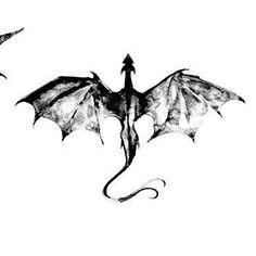 two black and white dragon tattoos on the back of their wings, one with an arrow in it's tail