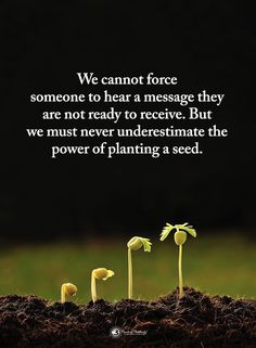 three seedlings sprouting from the ground in front of a black background with an inspirational quote