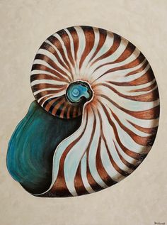 a painting of a nautish shell on a beige background