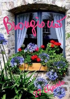 there is a window with blue flowers in it and the words budugus above