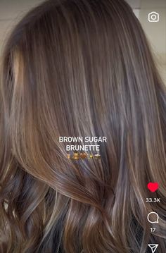 Light Brown Dimensional Balayage, Balayage, Teddy Brunette Hair, Brown Money Piece On Black Hair, Latte Highlights On Dark Hair, Cool Brown Hair Balayage, Brown Hair With Lighter Brown Highlights, Fall 2024 Hair Color, Sandy Brown Hair With Highlights