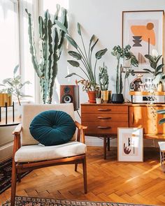 a living room filled with lots of plants next to a wooden table and chair on top of a hard wood floor