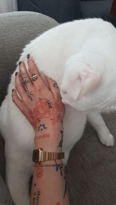 picture of a woman's arm with black and red tattoos petting a white cat Hand Red Tattoos, Red Elbow Tattoo, Black And Red Hand Tattoo, Red And Black Hand Tattoo, Black And Red Patchwork Tattoo Sleeve, Red Filler Tattoo, Red And Black Line Tattoo, Red And Black Tattoos For Women, Red And Black Sleeve Tattoo Women