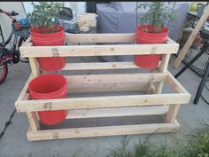 three red buckets with plants growing out of them